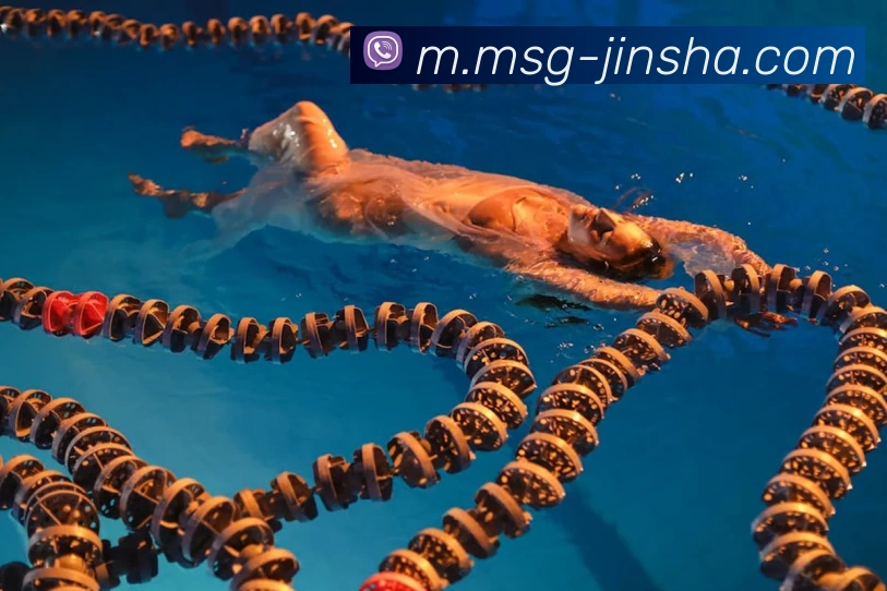 App Interface Preview